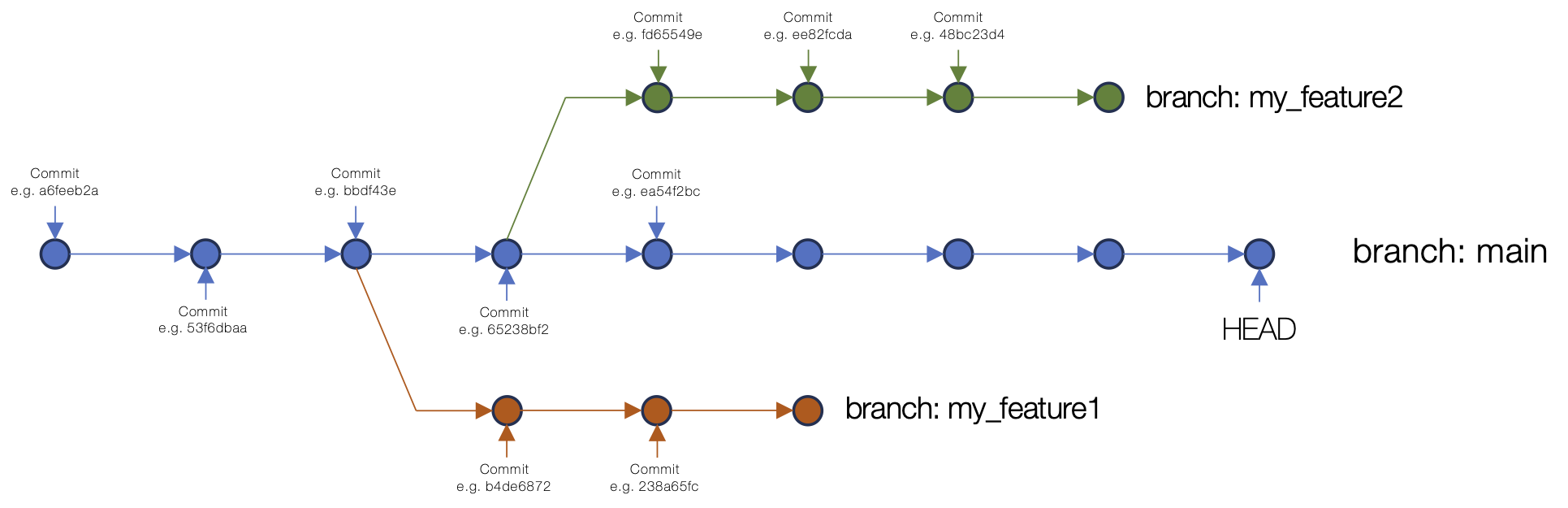 An example of branching in a Git repository commit structure showing the main branch and two other branches off main.