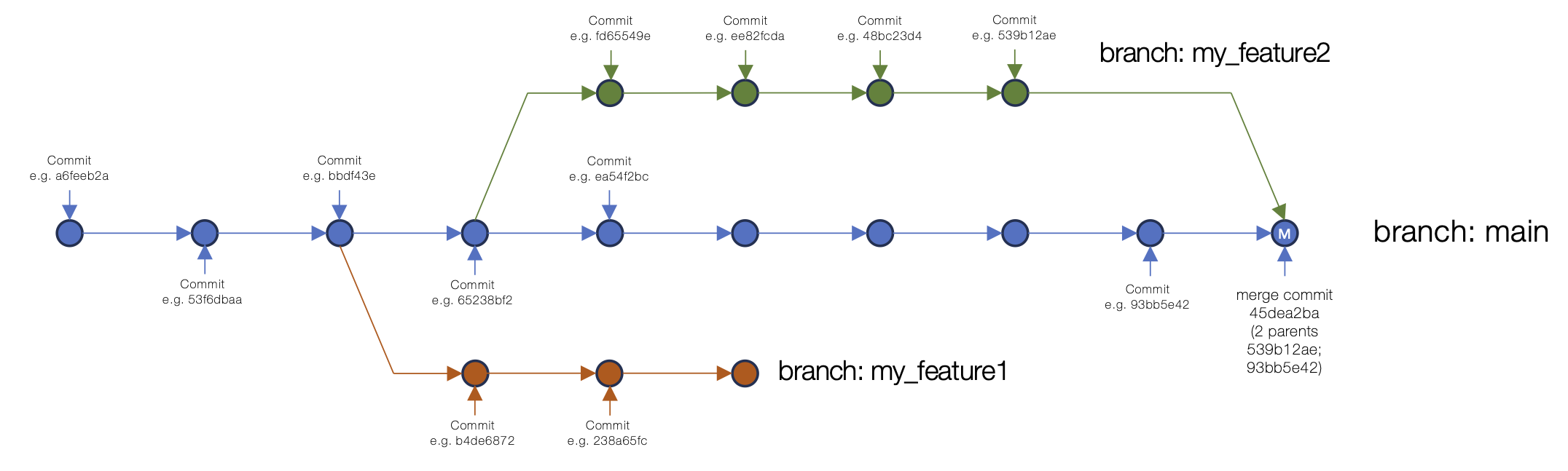 An example of merging a branch into main, showing the main branch and two other branches off, with one merging back into main with a merge commit.